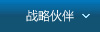 战略伙伴
